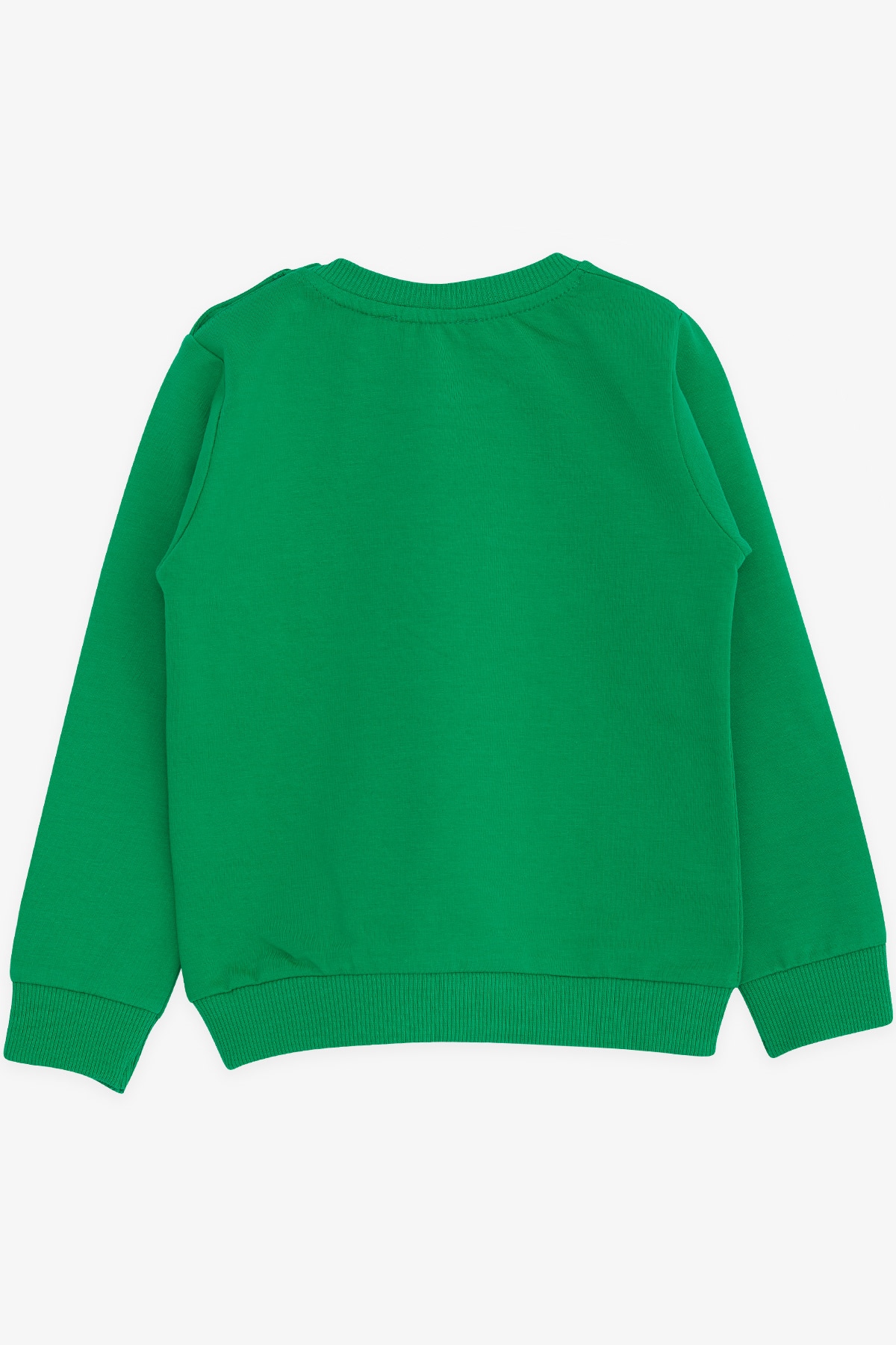Breeze Erkek Çocuk Sweatshirt Kampçı Dinazor Baskılı Yeşil (1.5-5 Yaş)