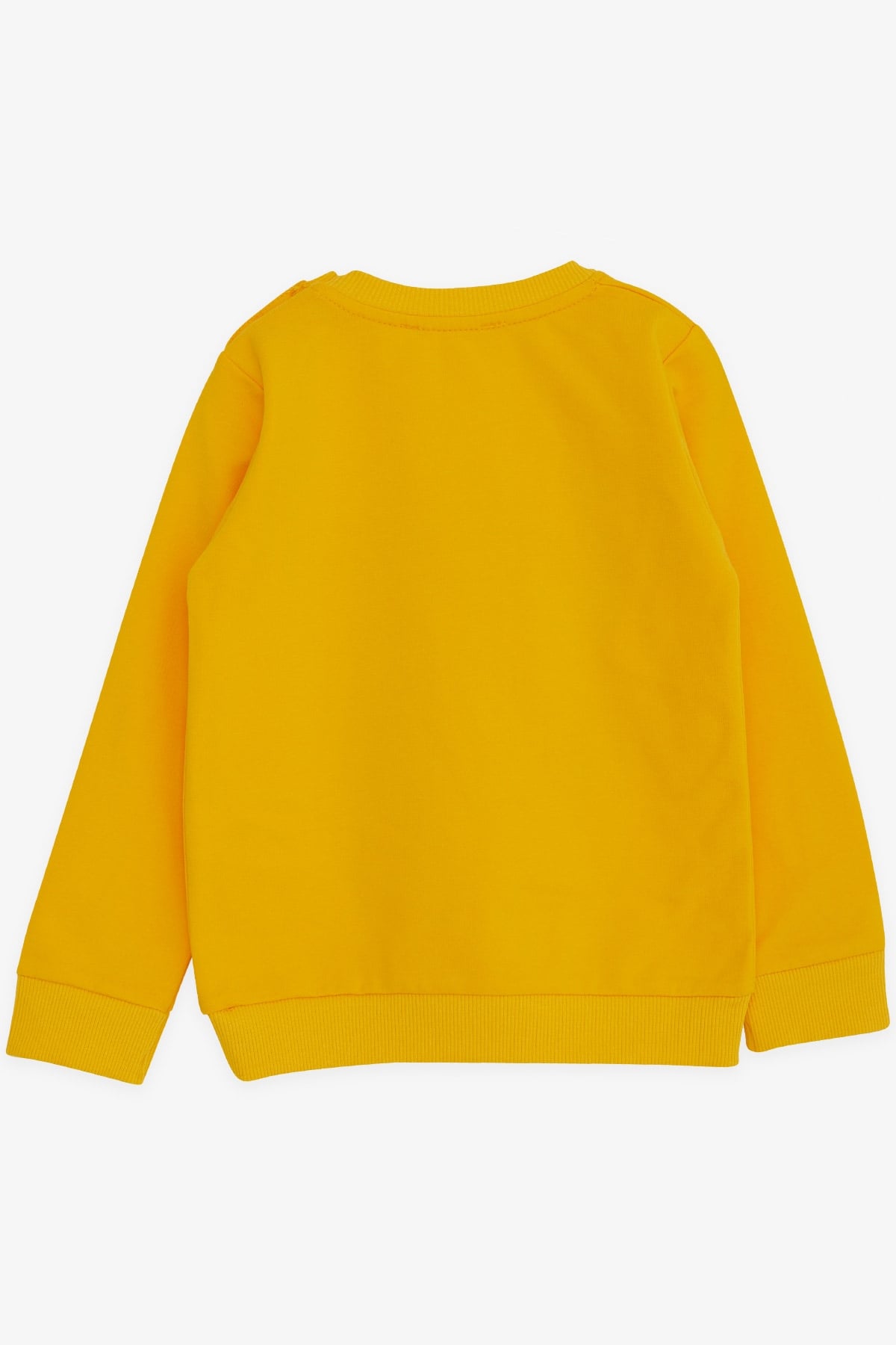 Breeze Erkek Çocuk Sweatshirt Kampçı Dinazor Baskılı Sarı (1.5-5 Yaş)