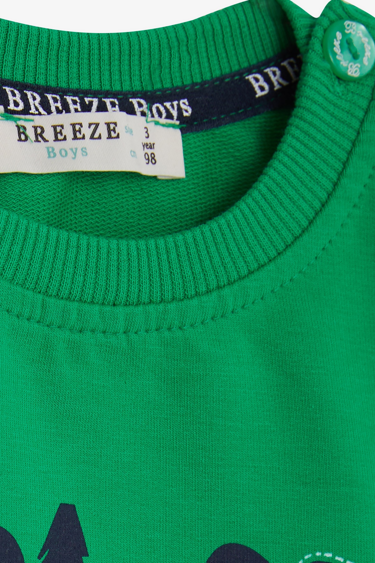 Breeze Erkek Çocuk Sweatshirt Kampçı Dinazor Baskılı Yeşil (1.5-5 Yaş)