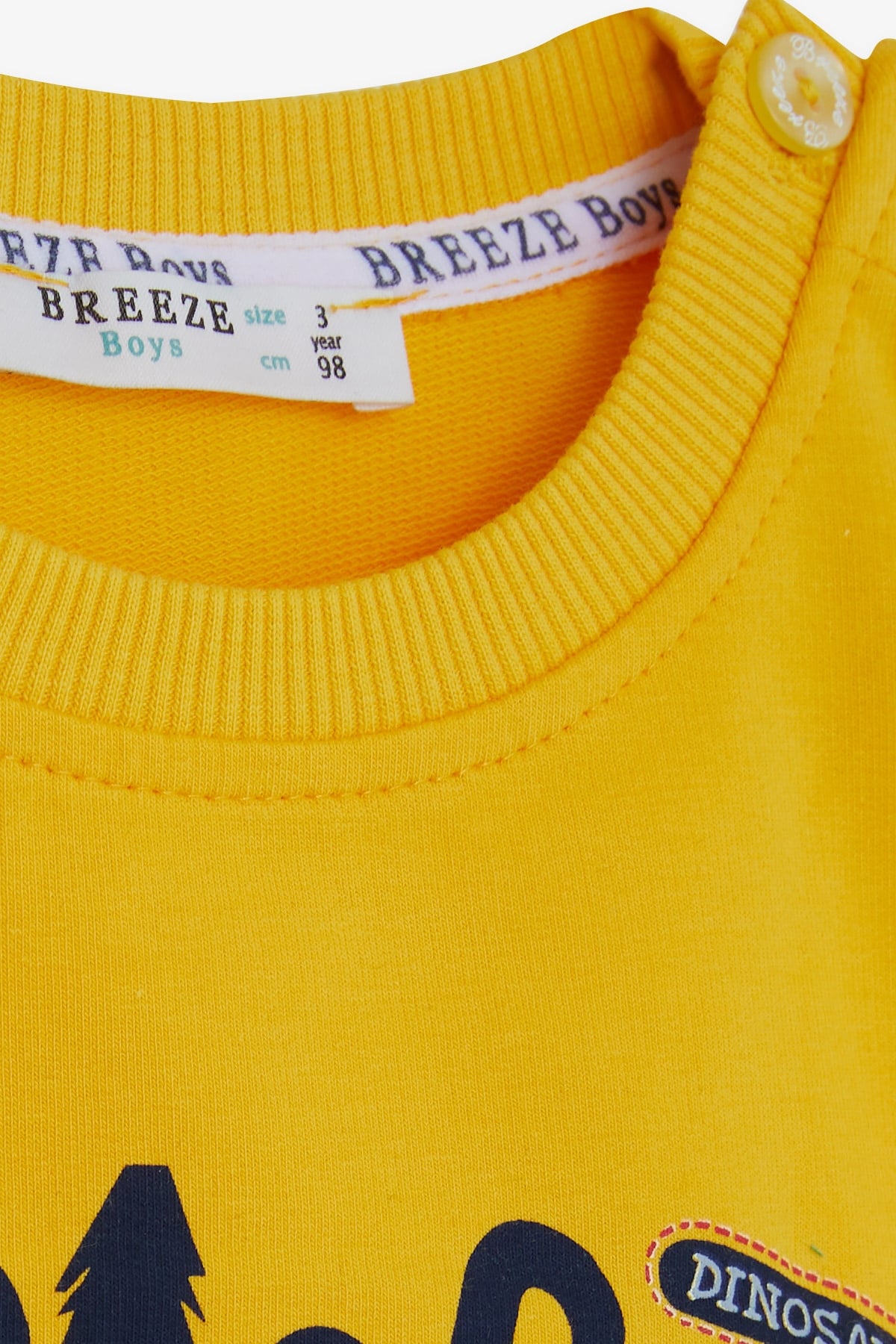 Breeze Erkek Çocuk Sweatshirt Kampçı Dinazor Baskılı Sarı (1.5-5 Yaş)