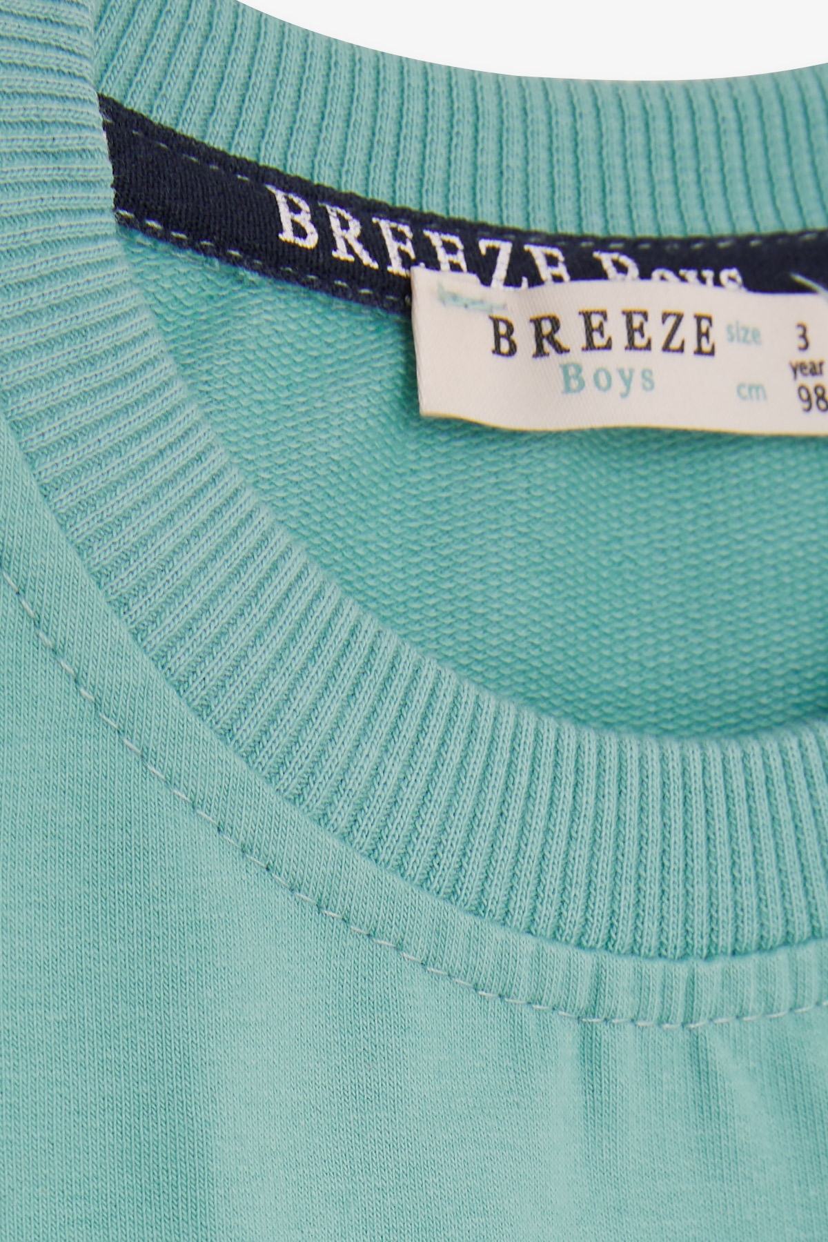 Breeze Erkek Çocuk Sweatshirt Kampçı Dinazor Baskılı Mint Yeşili (1.5-5 Yaş)