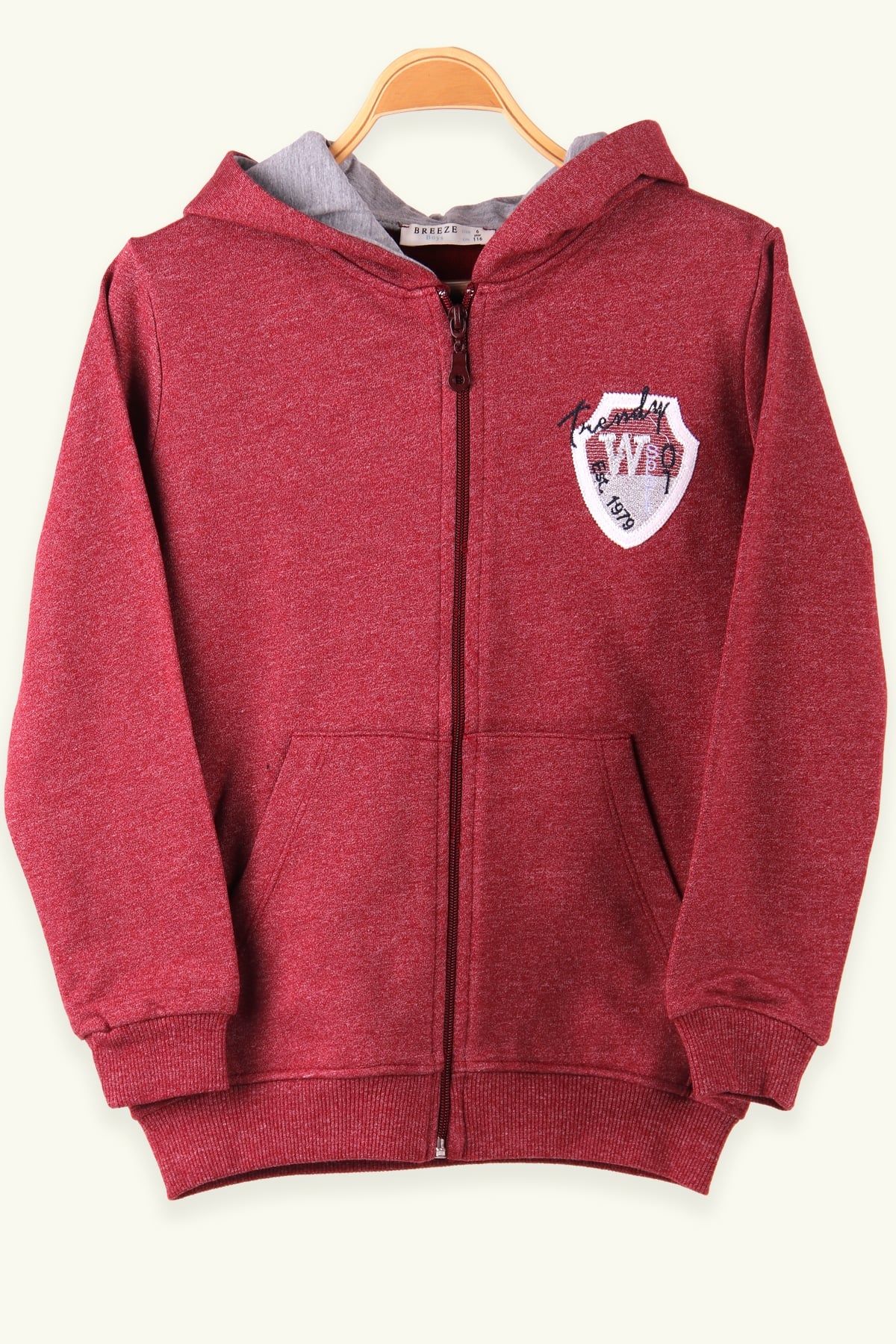 Breeze Erkek Çocuk Sweatshirt Kapüşonlu Fermuarlı Gülkurusu (6-12 Yaş)