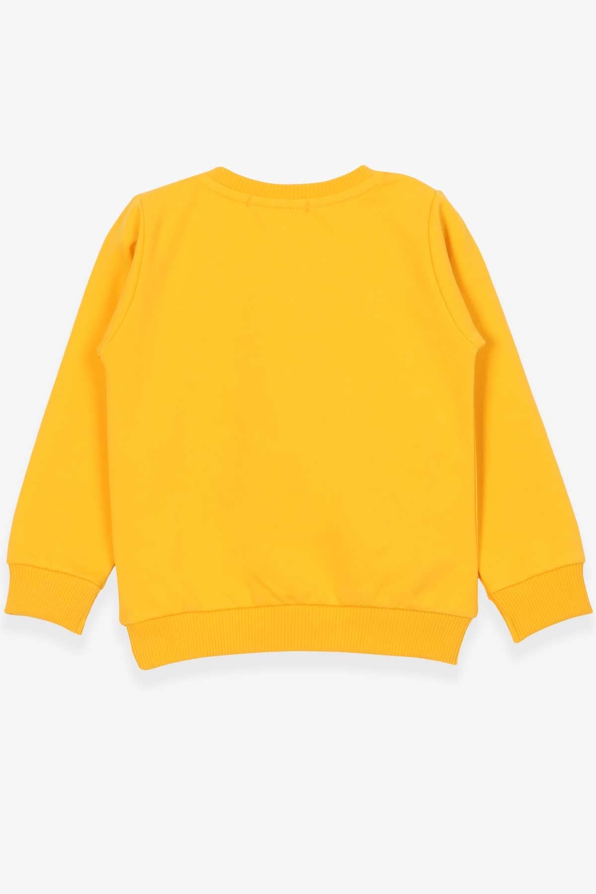 Breeze Erkek Çocuk Sweatshirt Kaykaycı Dinozor Baskılı Sarı (1.5-5 Yaş)