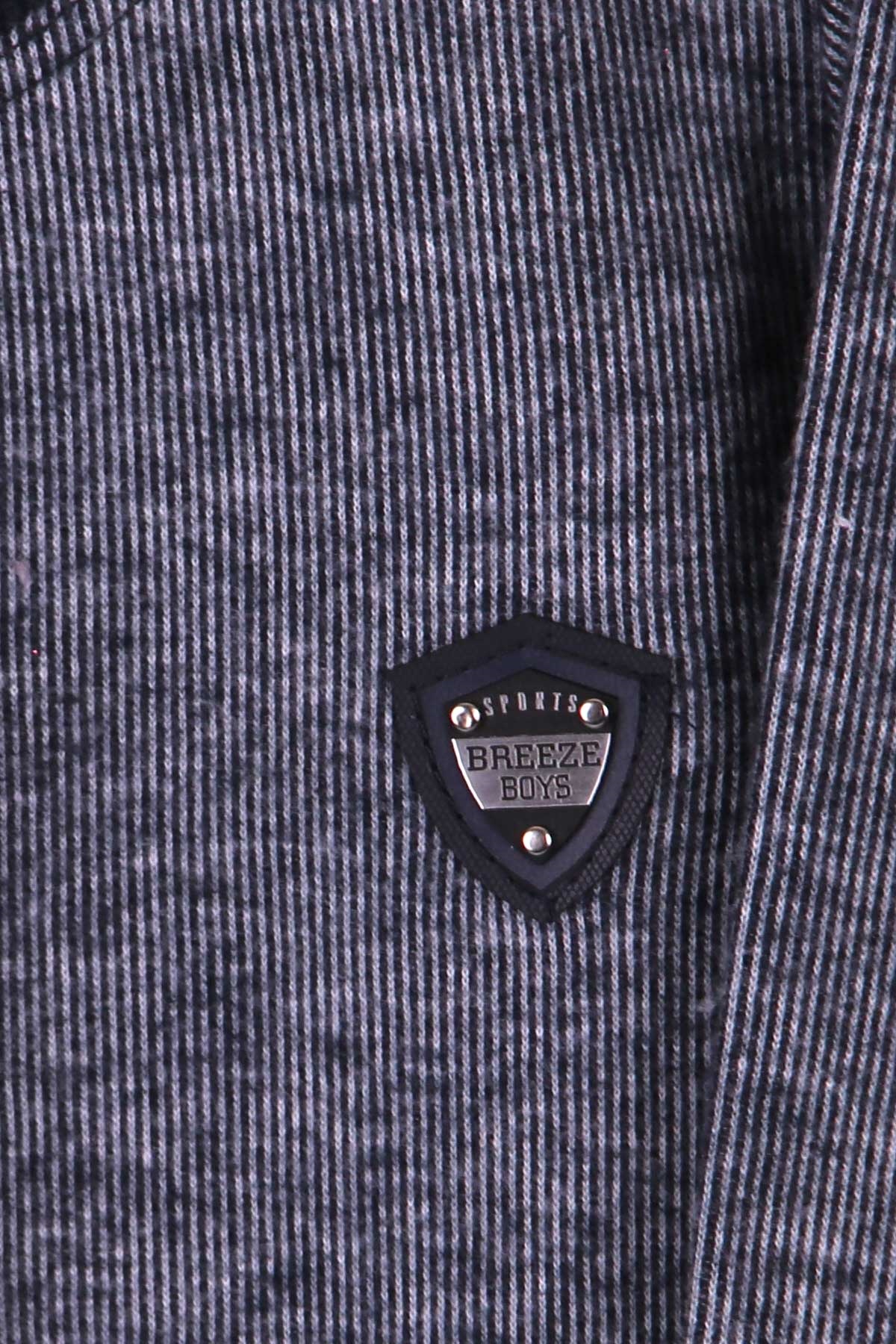 Breeze Erkek Çocuk Sweatshirt Kırçıllı Armalı Lacivert (2-6 Yaş)