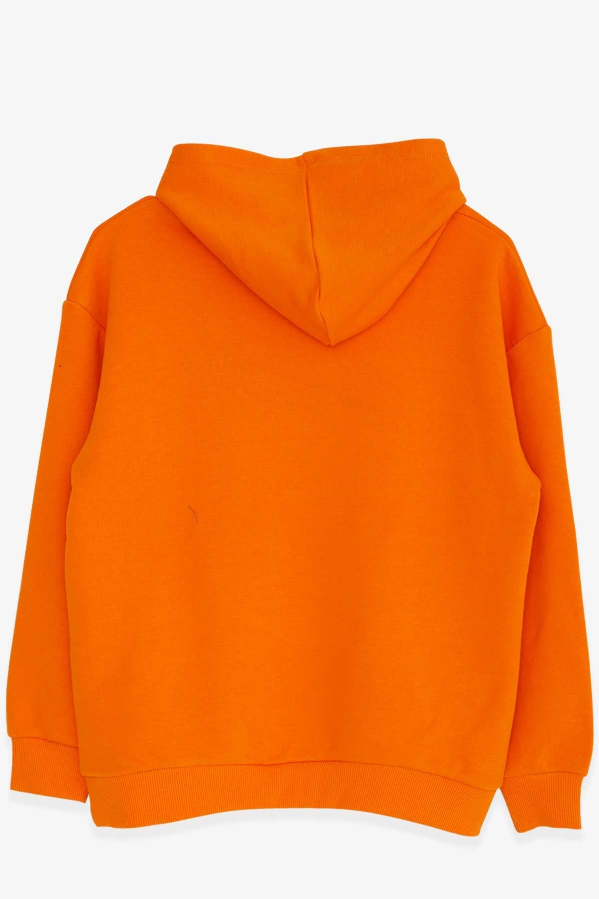 Breeze Erkek Çocuk Sweatshirt Nakışlı Yazı Baskılı Turuncu (8-14 Yaş)