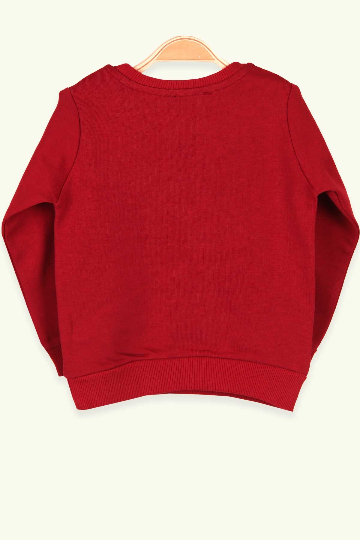 Breeze Erkek Çocuk Sweatshirt Nakışlı Bordo (1.5-5 Yaş)