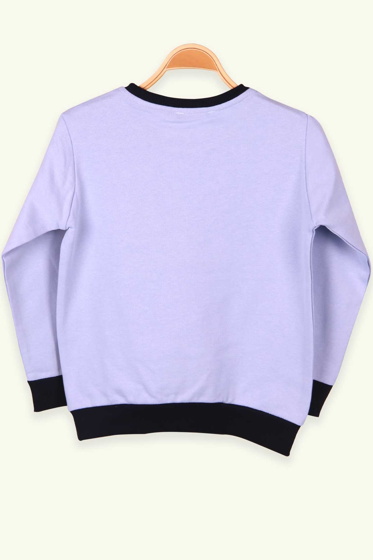 Breeze Erkek Çocuk Sweatshirt Nakışlı Bebe Mavisi (5-9 Yaş)