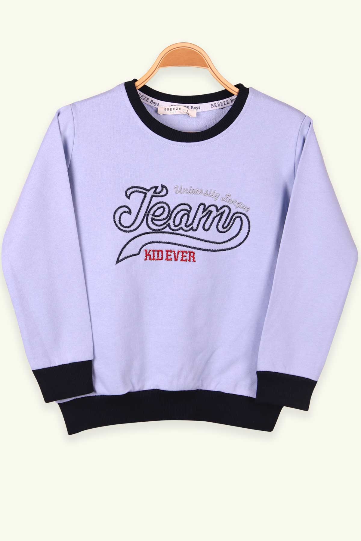 Breeze Erkek Çocuk Sweatshirt Nakışlı Bebe Mavisi (5-9 Yaş)
