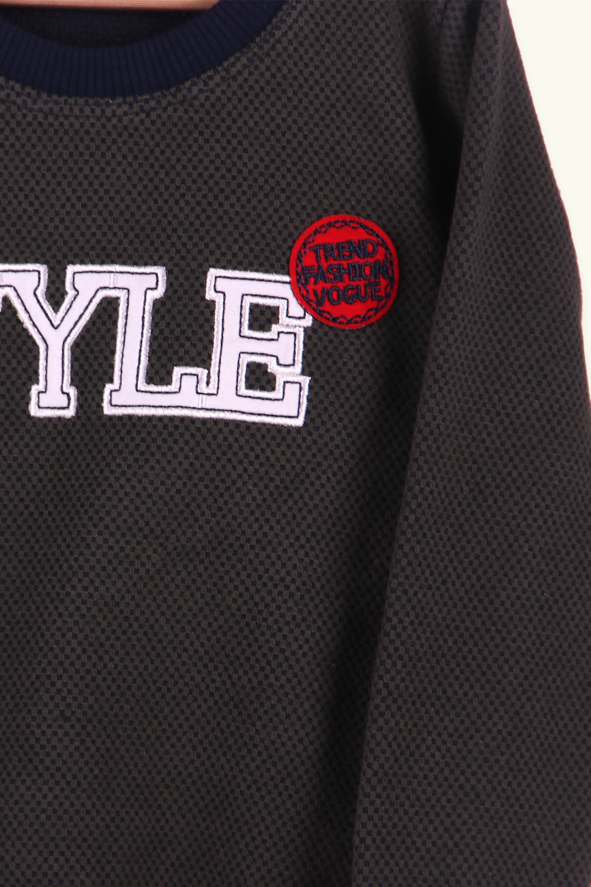 Breeze Erkek Çocuk Sweatshirt Nakışlı Haki Yeşil (2-6 Yaş)