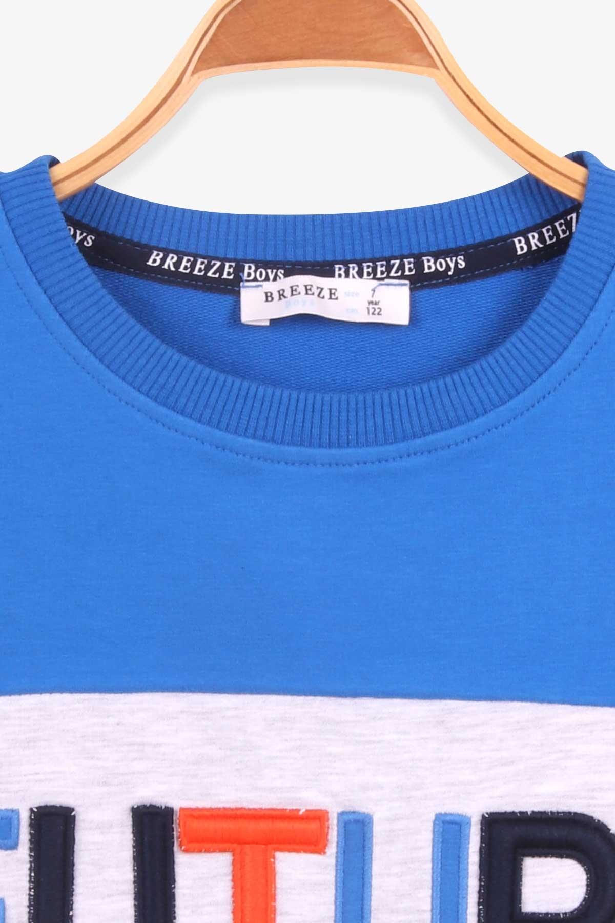 Breeze Erkek Çocuk Sweatshirt Renkli Nakışlı Saks Mavisi (7-12 Yaş)