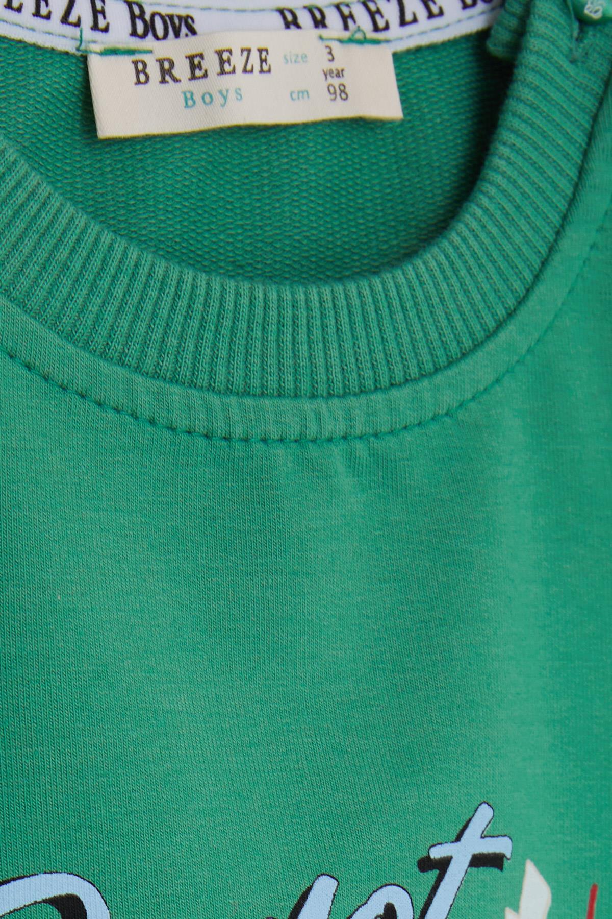 Breeze Erkek Çocuk Sweatshirt Ressam Ayıcık Baskılı Yeşil (1-4 Yaş)