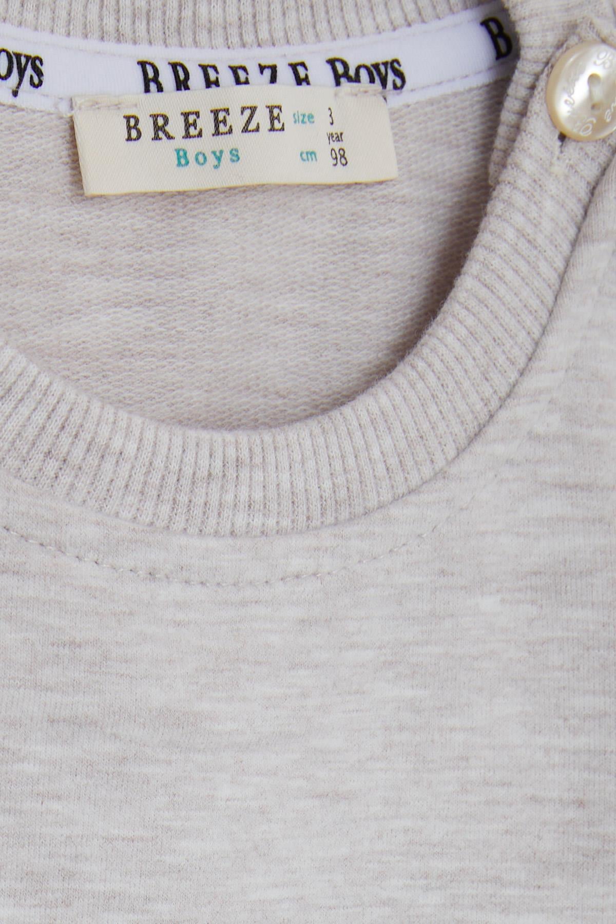 Breeze Erkek Çocuk Sweatshirt Ressam Ayıcık Baskılı Bej Melanj (1-4 Yaş)
