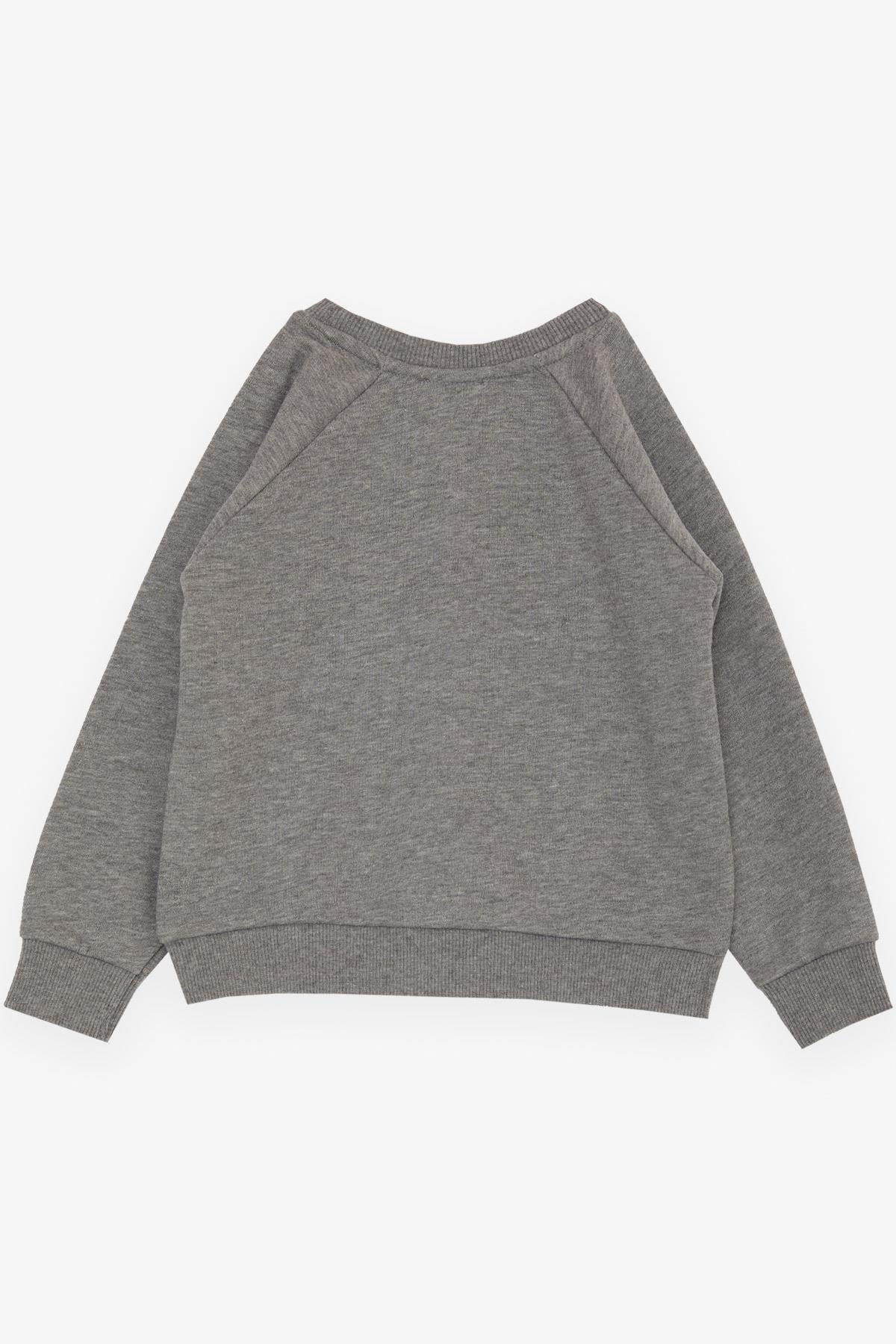 Breeze Erkek Çocuk Sweatshirt Sevimli Ayıcık Baskılı Kulakları Hareketli Koyu Gri Melanj (2-6 Yaş)
