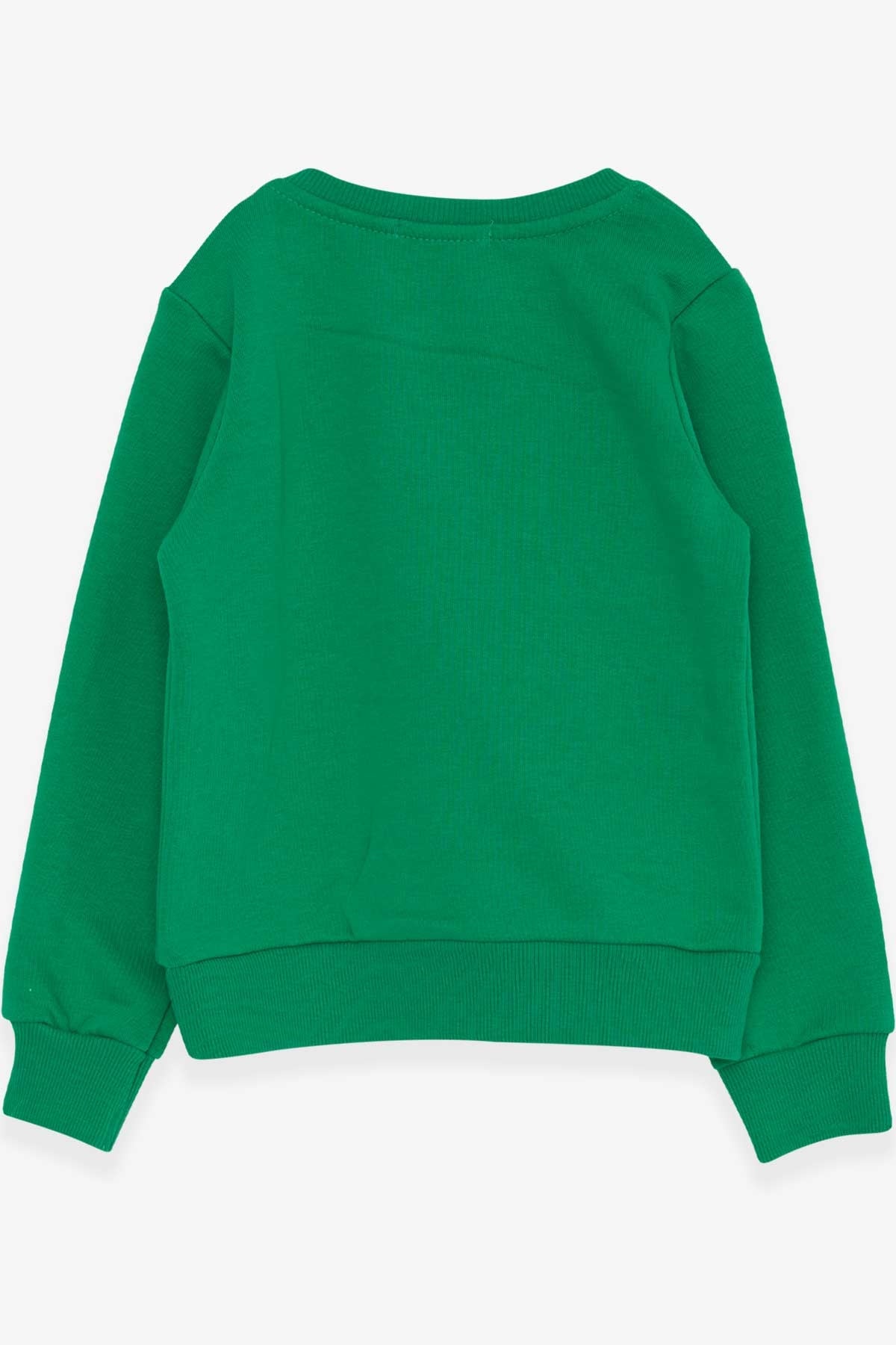 Breeze Erkek Çocuk Sweatshirt Yazı Baskılı Yeşil (2-6 Yaş)