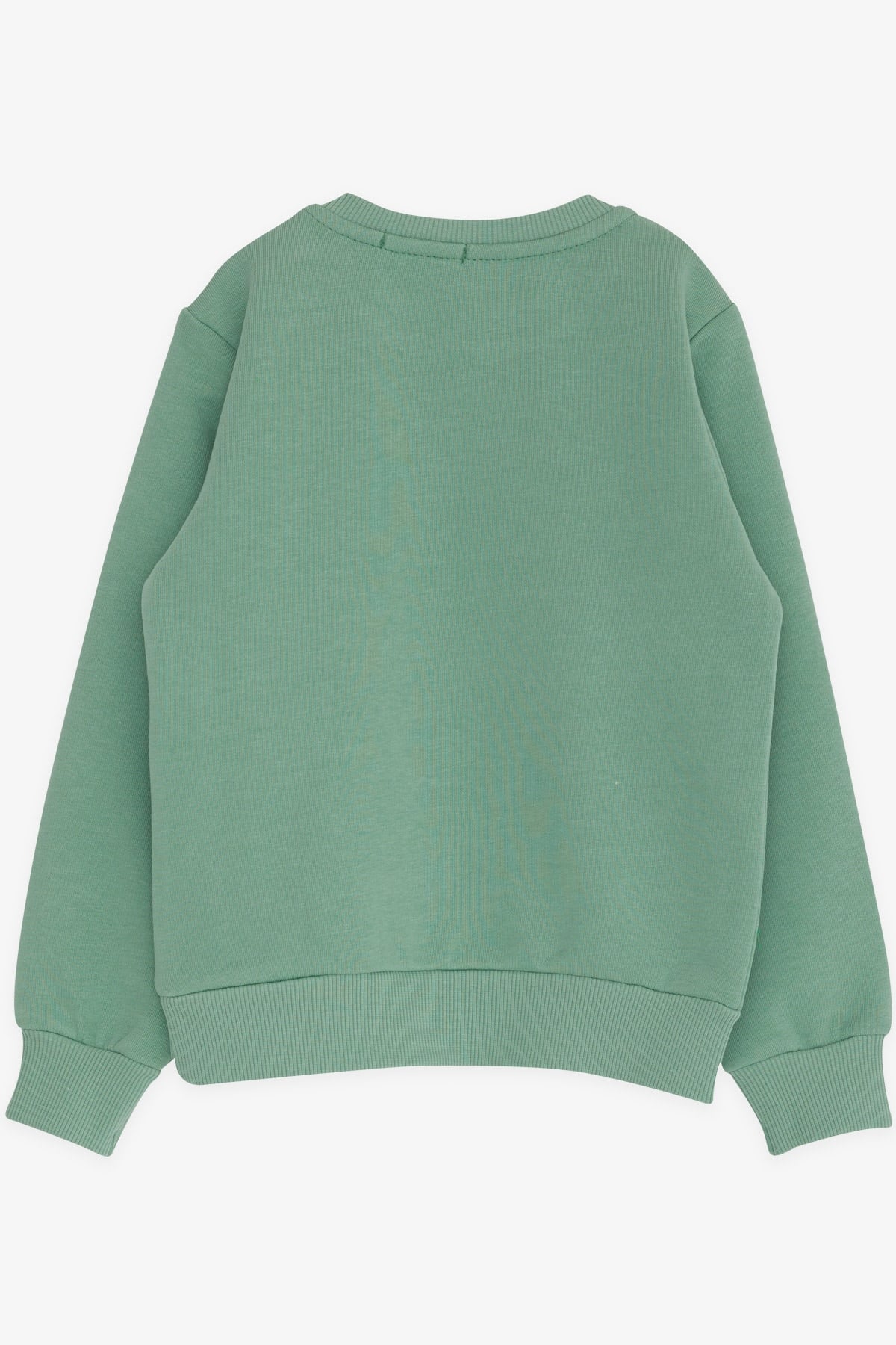 Breeze Erkek Çocuk Sweatshirt Yazı Baskılı Mint Yeşili (2-6 Yaş)