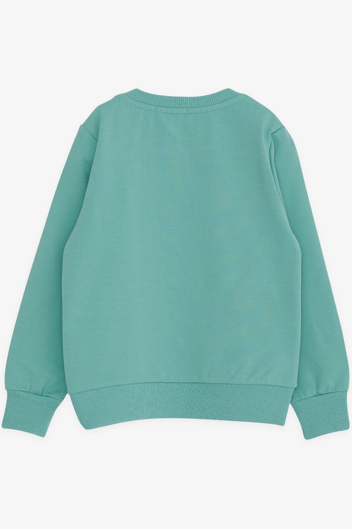 Breeze Erkek Çocuk Sweatshirt Yazı Baskılı Mint Yeşili (2-6 Yaş)