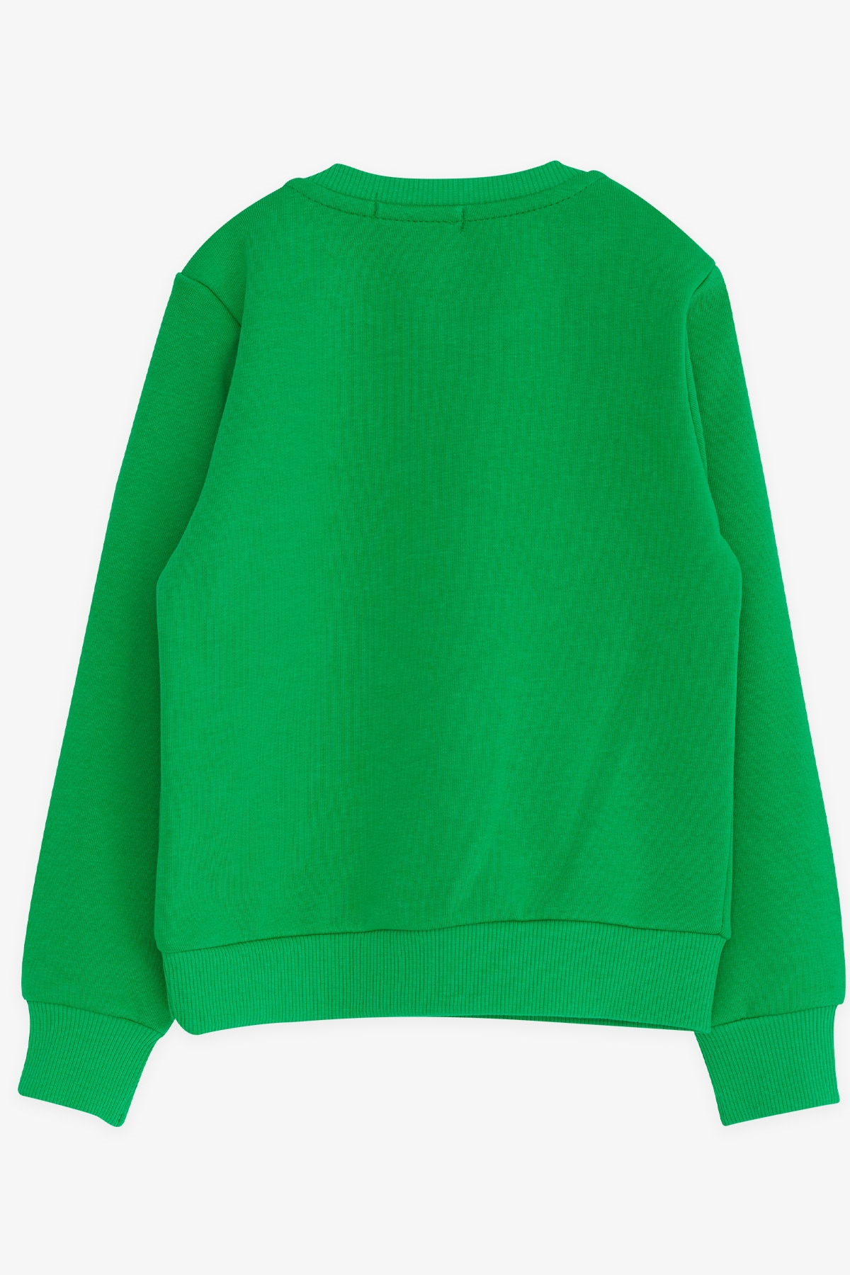 Breeze Erkek Çocuk Sweatshirt Yazı Baskılı Yeşil (2-5 Yaş)