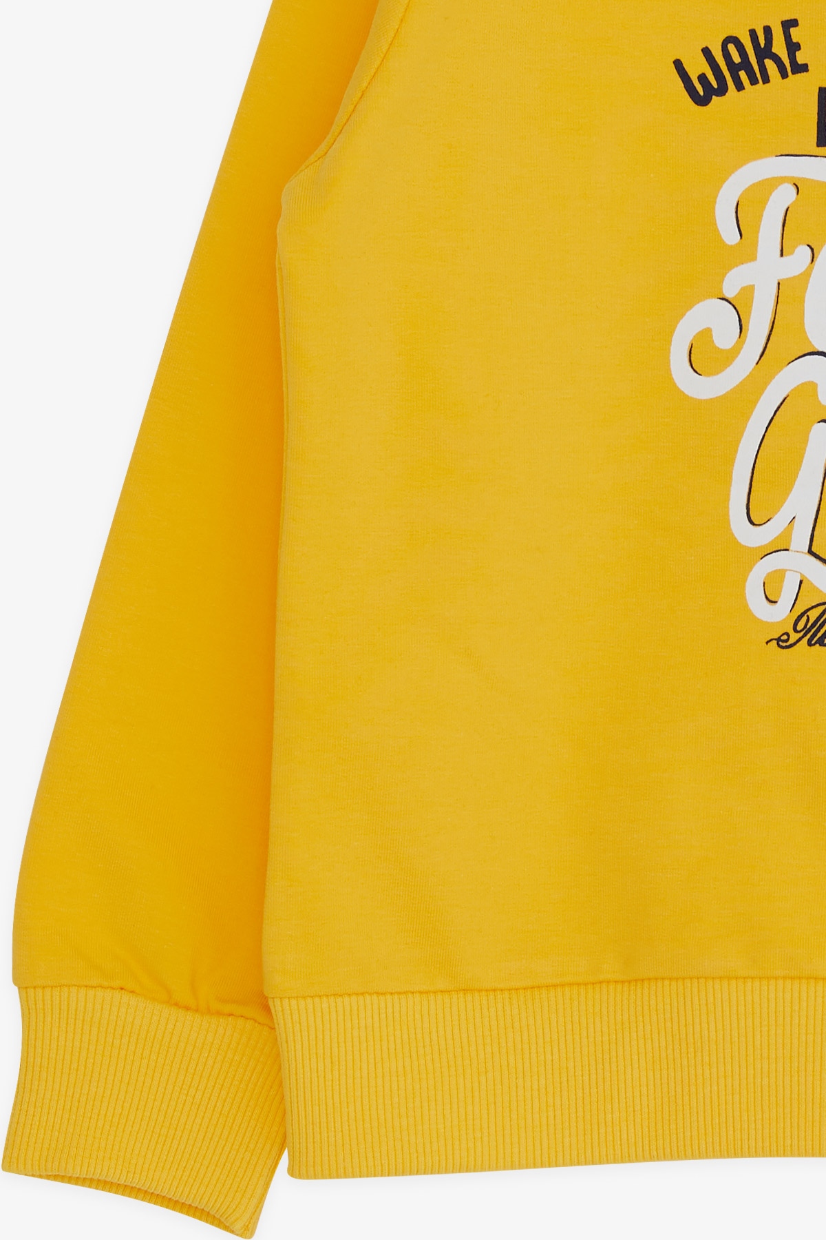 Breeze Erkek Çocuk Sweatshirt Yazı Baskılı Sarı (2-6 Yaş)