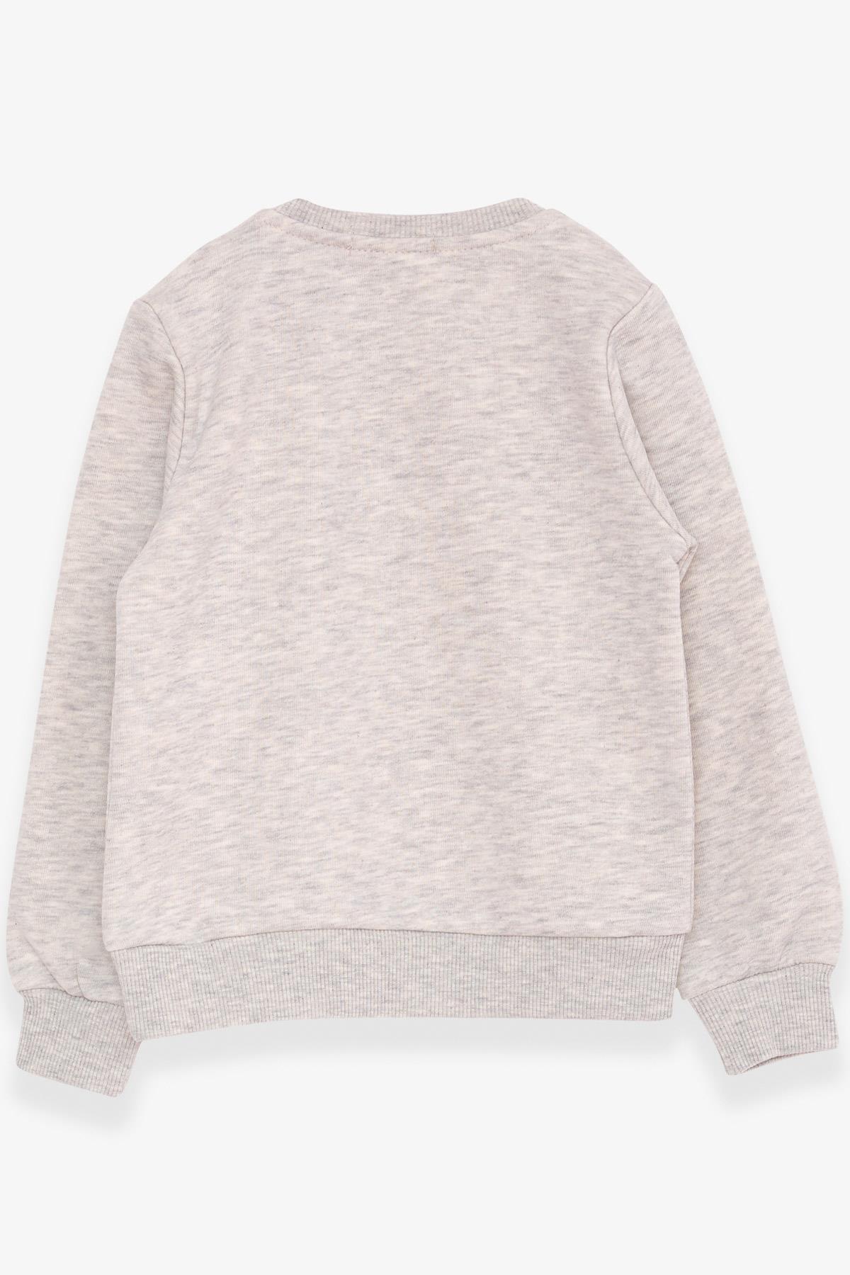 Breeze Erkek Çocuk Sweatshirt Yazı Baskılı Açık Gri Melanj (2-6 Yaş)