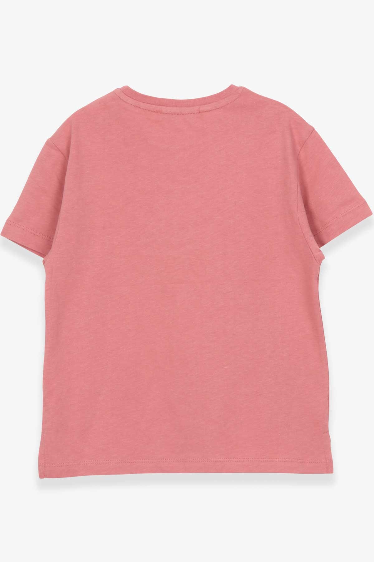 Breeze Erkek Çocuk Tişört Basic Gülkurusu (5-9 Yaş)