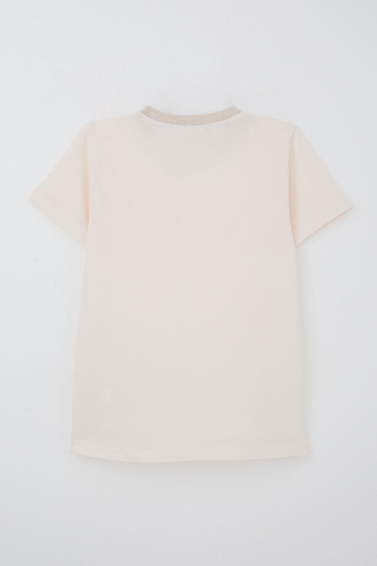 Breeze Erkek Çocuk Tişört Basic Pudra (4-14 Yaş)