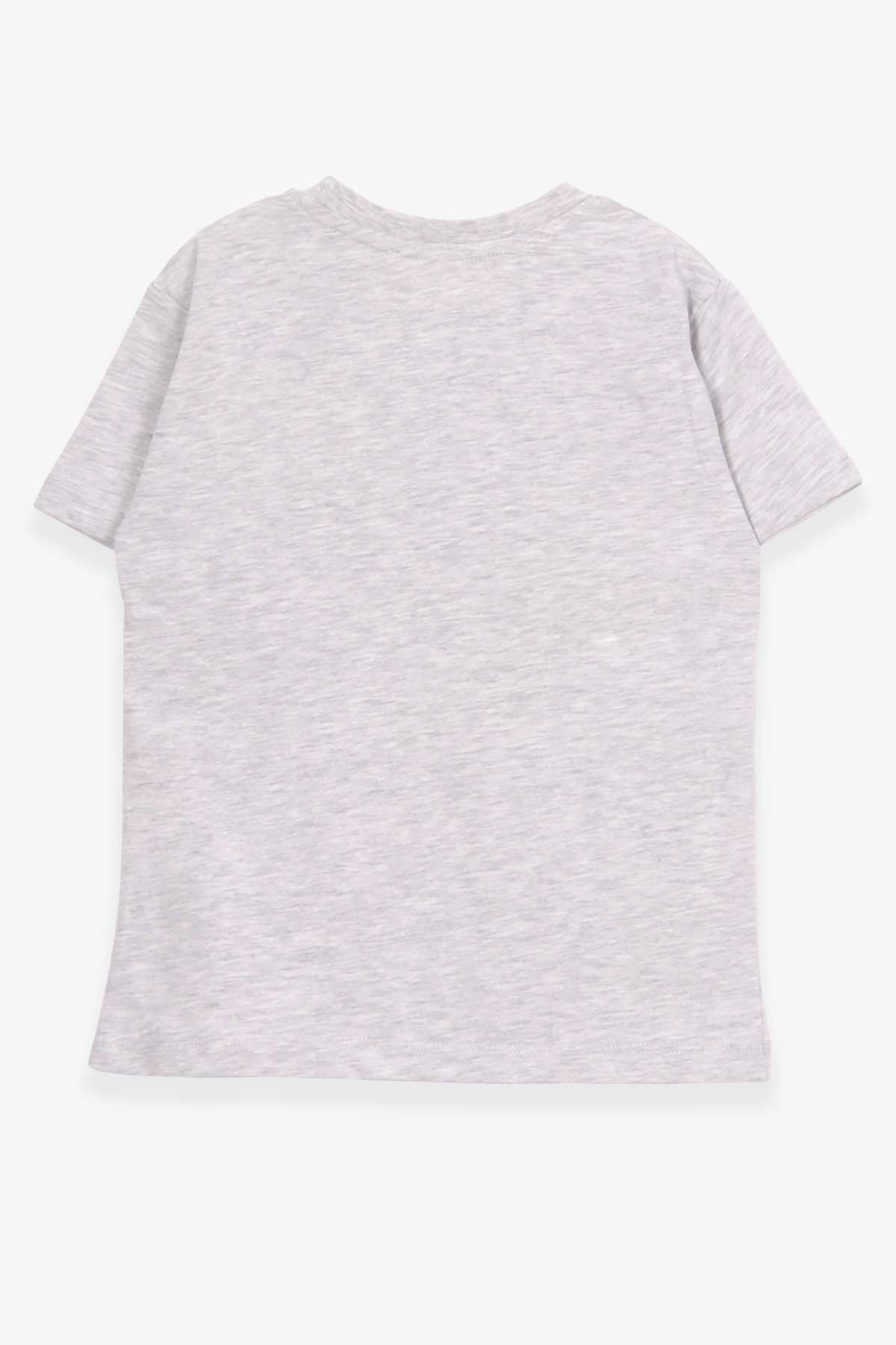 Breeze Erkek Çocuk Tişört Baskılı Açık Gri Melanj (5-10 Yaş)