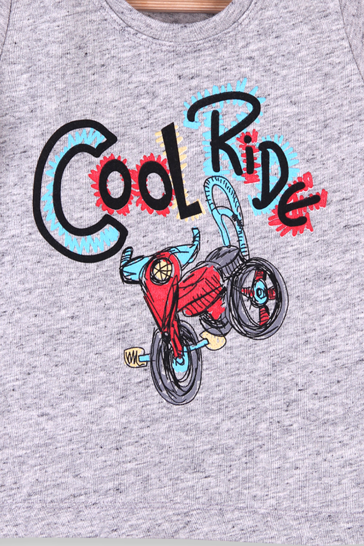 Breeze Erkek Çocuk Tişört Bisiklet Baskılı Cool Ride Gri (1.5-5 Yaş)
