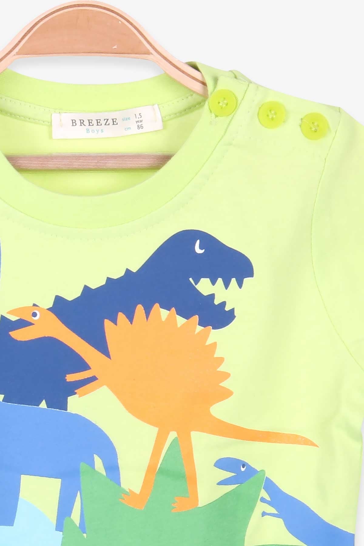 Breeze Erkek Çocuk Tişört Dinozor Baskılı Fıstık Yeşili (1.5-5 Yaş)