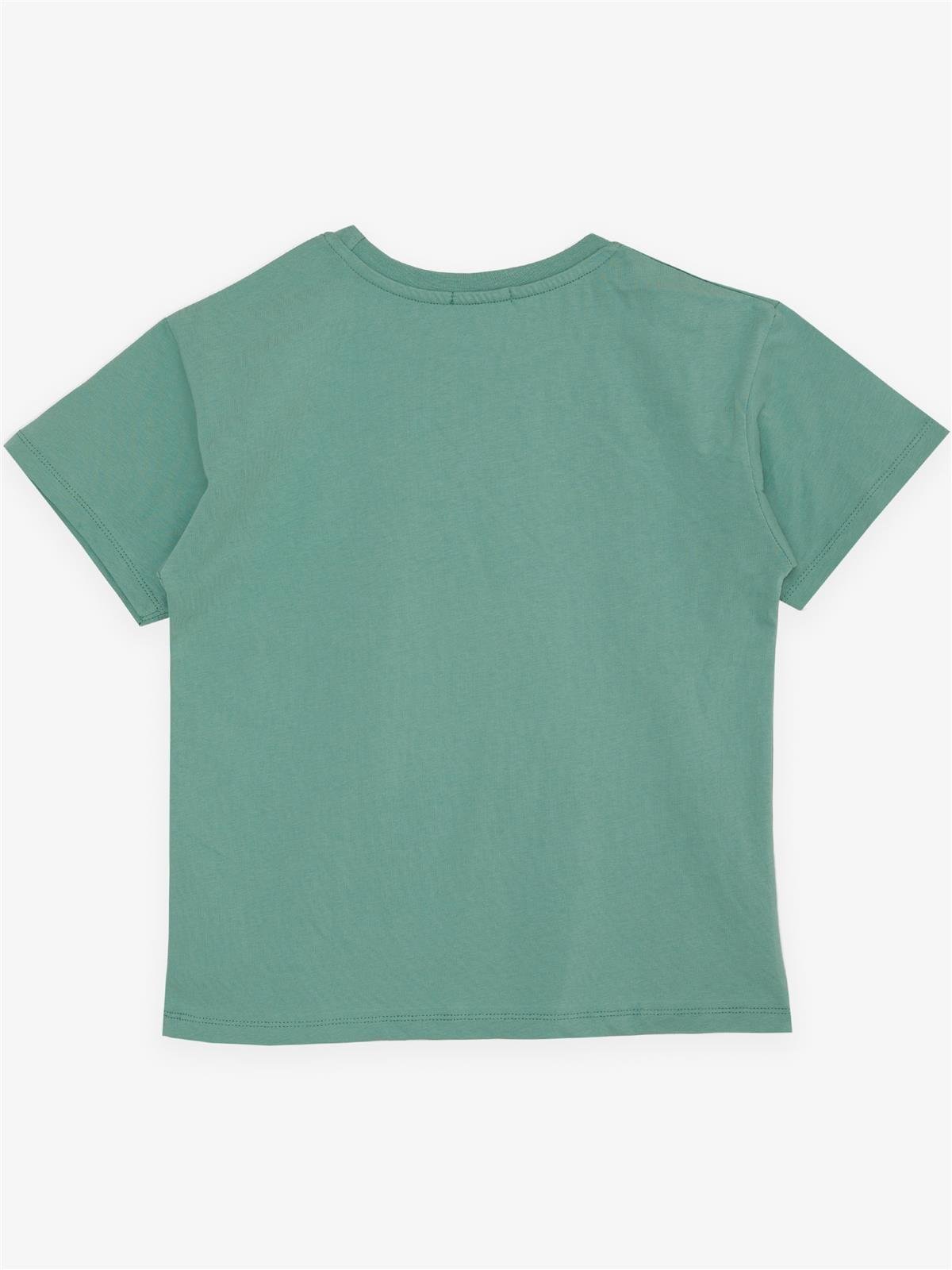 Breeze Erkek Çocuk Tişört Yazı Baskılı Mint Yeşili (5-10 Yaş)