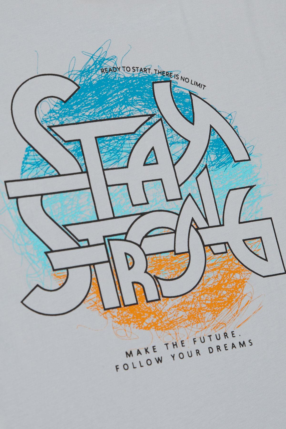 Breeze Erkek Çocuk Tişört Yazı Baskılı Arkası Desenli Gri (8-12 Yaş)