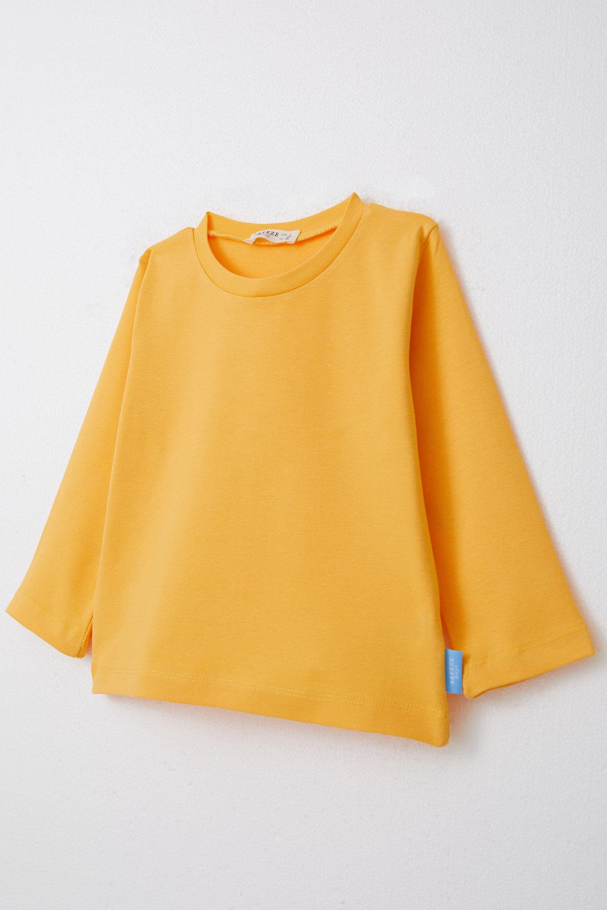 Breeze Erkek Çocuk Uzun Kollu Tişört Basic Sarı (1-4 Yaş)