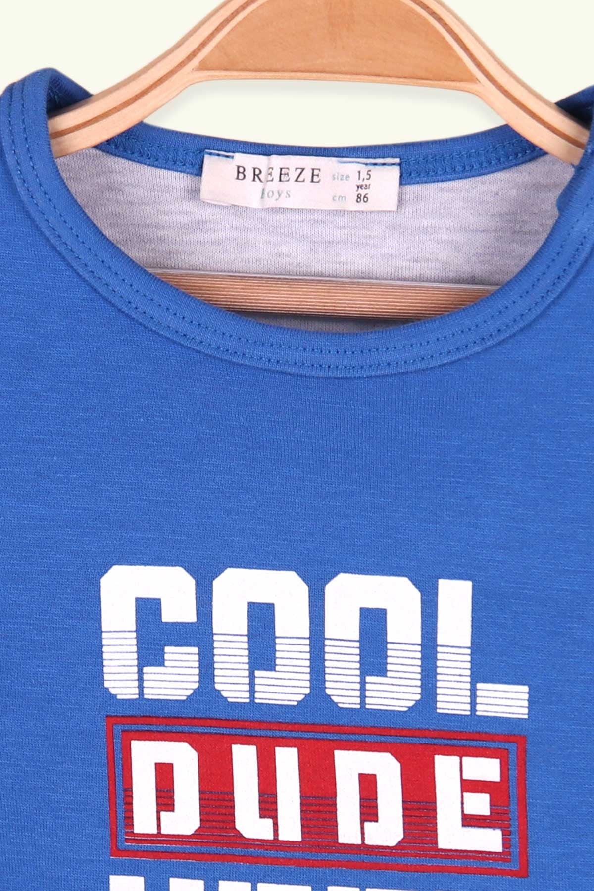 Breeze Erkek Çocuk Uzun Kollu Tişört Baskılı Mavi (1.5-5 Yaş)