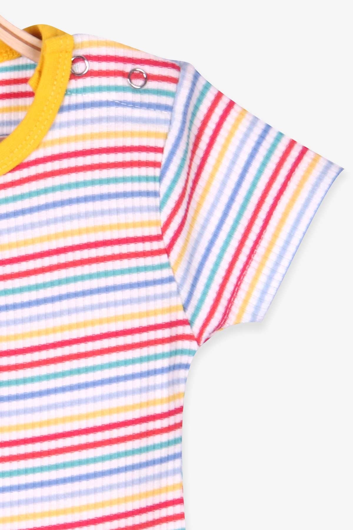 Breeze Kız Bebek Çıtçıtlı Body Çizgili Karışık Renk (9 Ay-3 Yaş)