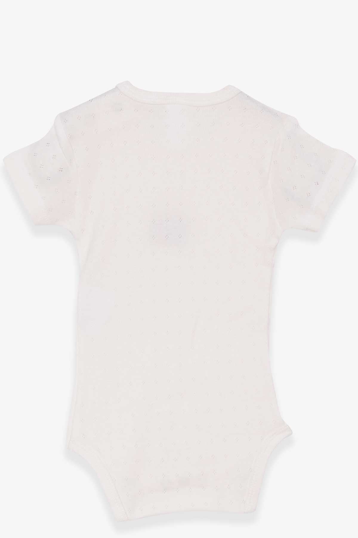 Breeze Kız Bebek Çıtçıtlı Body Jakarlı Arıcık Baskılı Ekru (9 Ay-3 Yaş)
