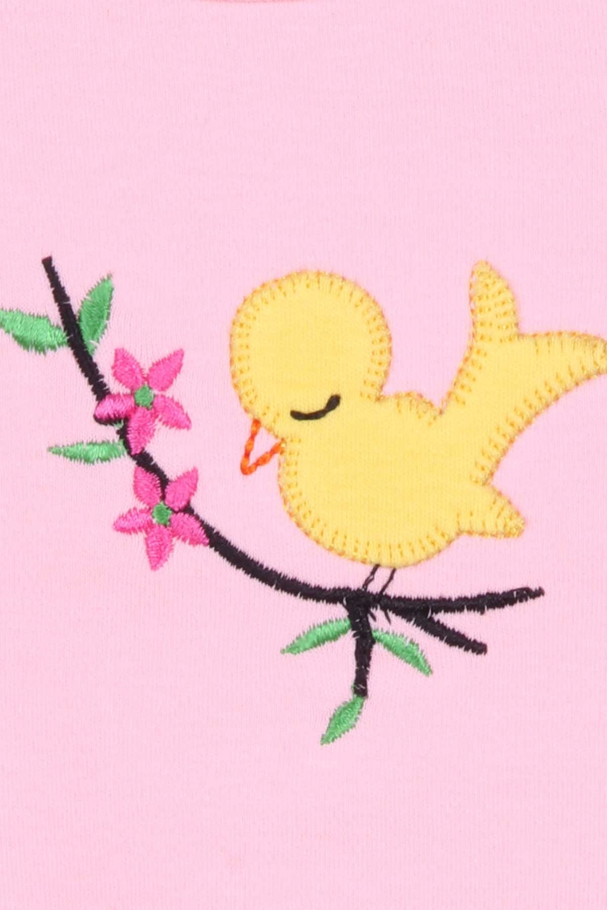 Breeze Kız Bebek Çıtıçıtlı Body Kuş Nakışlı Pudra (4 Ay-3 Yaş)