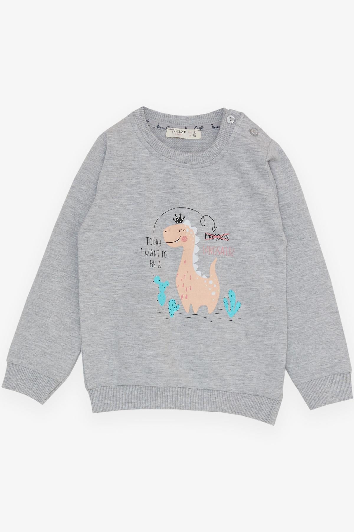 Breeze Kız Bebek Eşofman Takım Sevimli Dinozor Baskılı Gri Melanj (9 Ay-3 Yaş)