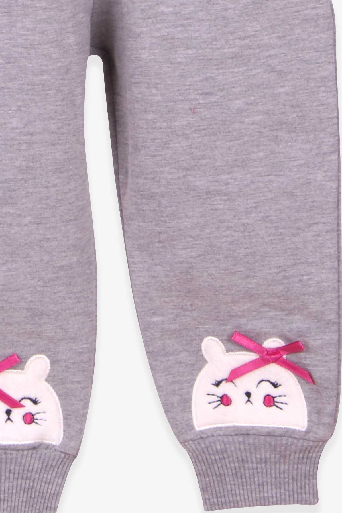 Breeze Kız Bebek Eşofman Takımı Kedili Pembe (9 Ay)