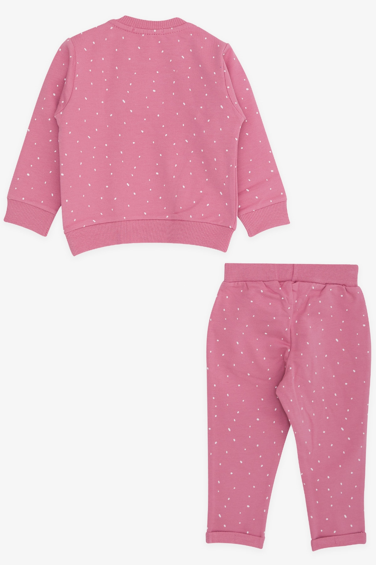 Breeze Kız Bebek Eşofman Takımı Koala Baskılı Gülkurusu (6 Ay-2 Yaş)