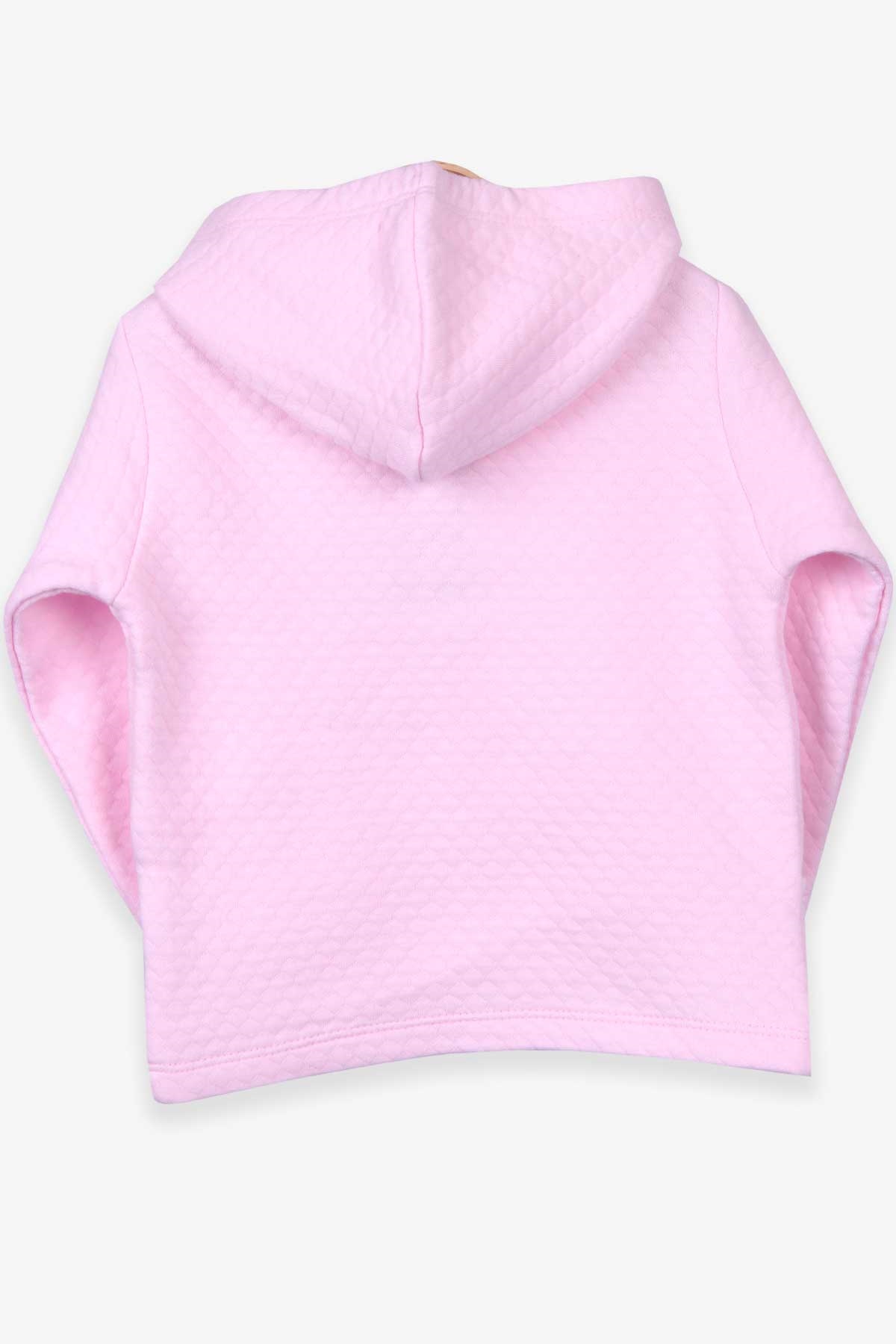 Breeze Kız Bebek Hırka Basic Pembe (0-3-9 Ay)
