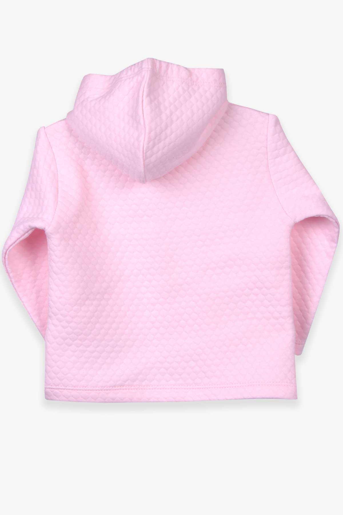 Breeze Kız Bebek Hırka Basic Pudra (0-3-9 Ay)