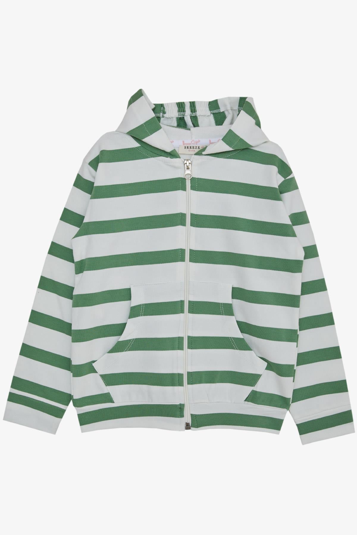 Breeze Kız Bebek Kapüşonlu Hırka Fermuarlı Cepli Karışık Renk (9 Ay-3 Yaş)