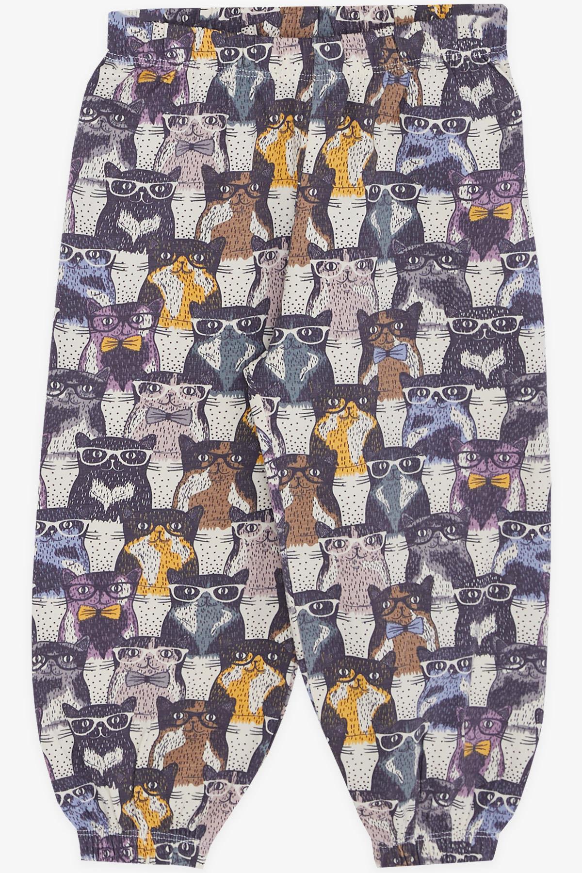 Breeze Kız Bebek Kısa Kollu Pijama Takımı Gözlüklü Kedicik Desenli Karışık Renk (9 Ay-3 Yaş)
