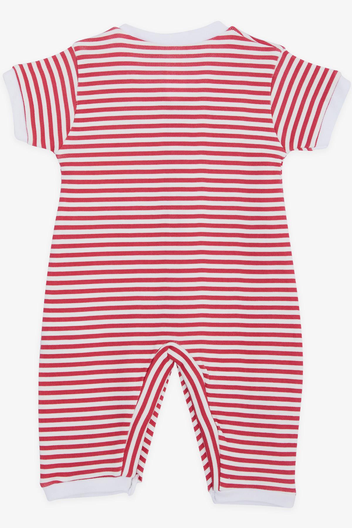 Breeze Kız Bebek Kısa Kollu Tulum Çizgili Kelebek Nakışlı Fuşya (0-6 Ay)