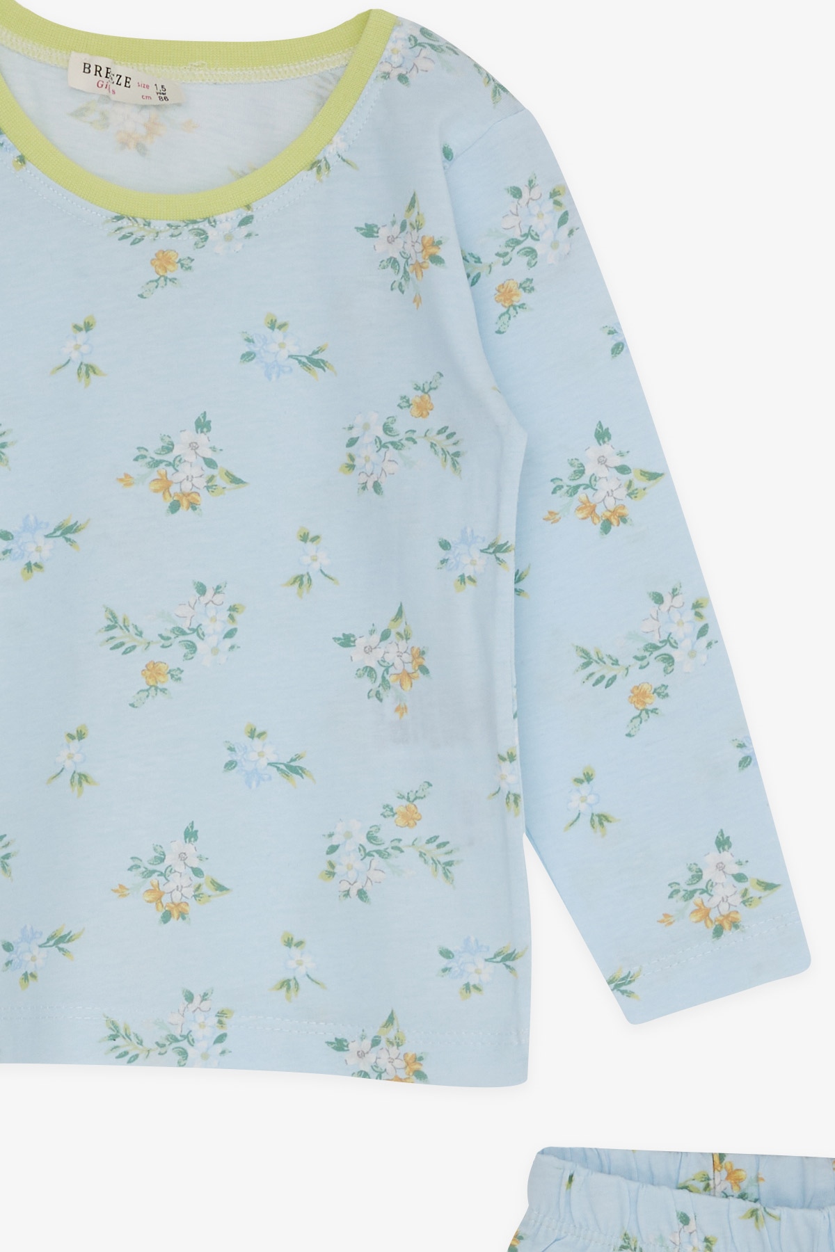 Breeze Kız Bebek Pijama Takımı Çiçek Desenli Bebe Mavisi (9 Ay-1.5 Yaş)