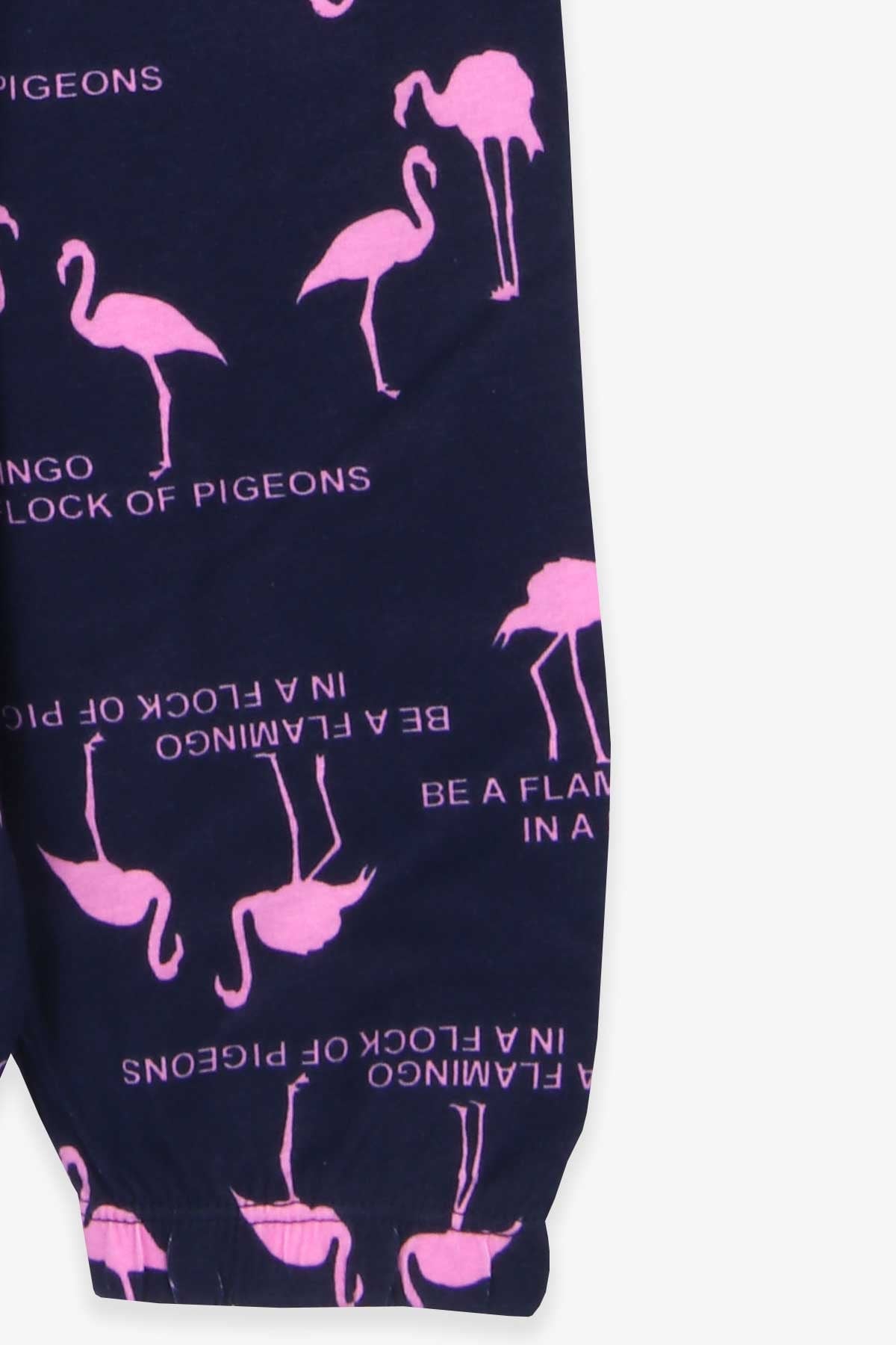 Breeze Kız Bebek Pijama Takımı Flamingo Desenli Lacivert (1-2 Yaş)