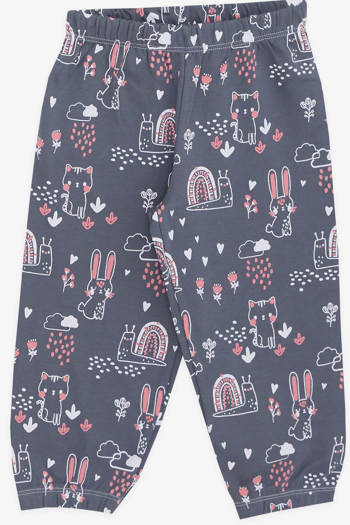 Breeze Kız Bebek Pijama Takımı Hayvancık Desenli Doğa Temalı Füme (9 Ay-3 Yaş)