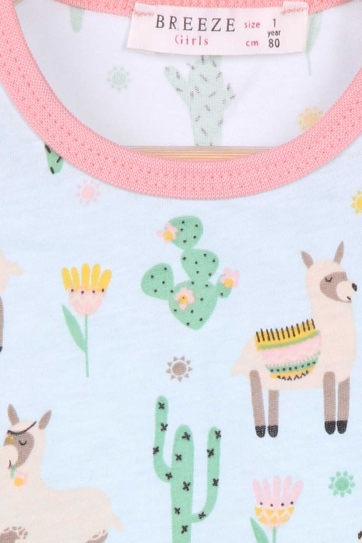 Breeze Kız Bebek Pijama Takımı Kaktüs Desenli Su Yeşili (9 Ay-3 Yaş)