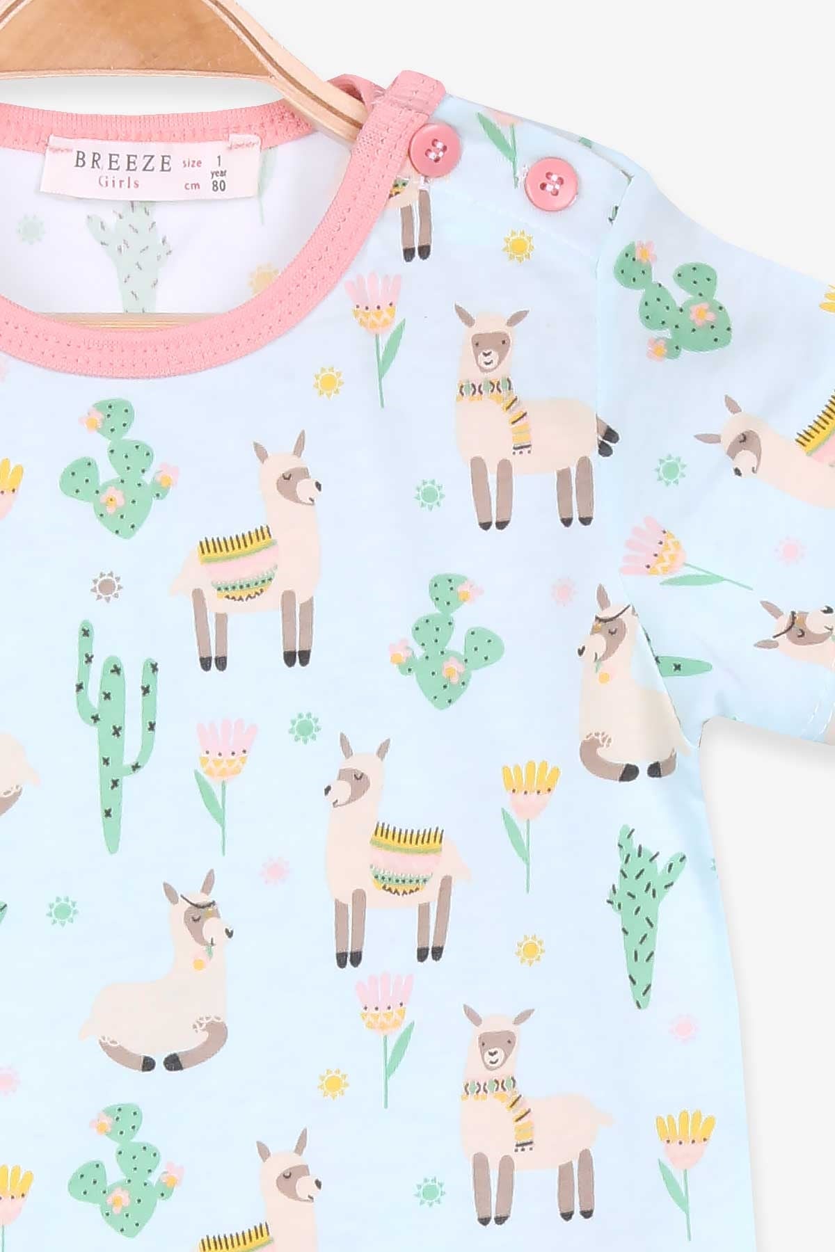 Breeze Kız Bebek Pijama Takımı Kaktüs Desenli Su Yeşili (9 Ay-3 Yaş)
