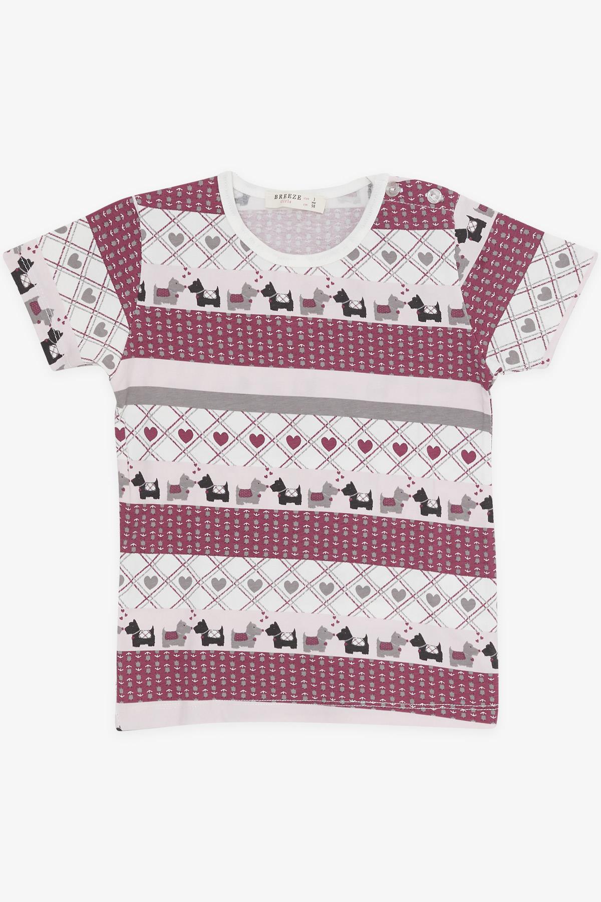 Breeze Kız Bebek Pijama Takımı Köpekçik Desenli Karışık Renk (9 Ay-3 Yaş)