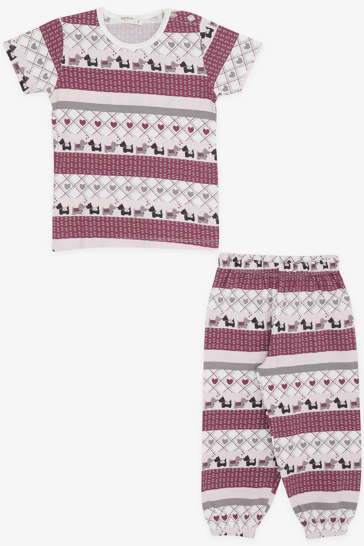 Breeze Kız Bebek Pijama Takımı Köpekçik Desenli Karışık Renk (9 Ay-3 Yaş)